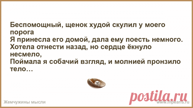 Беспомощный, щенок худой скулил у моего порога Я принесла его домой, дала ему поесть немного.
Хотела отнести назад, но сердце ёкнуло несмело,
Поймала я собачий взгляд, и молнией пронзило тело.
Наверно правд…