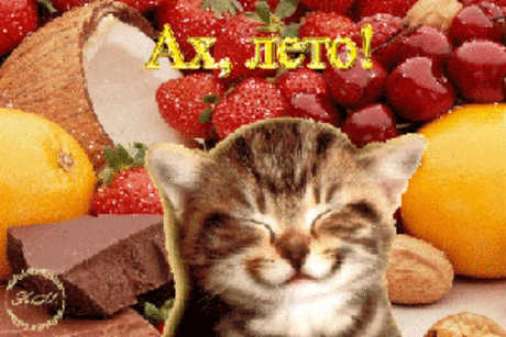 Здравствуй лето! (картинки, анимация) » Женский Мир