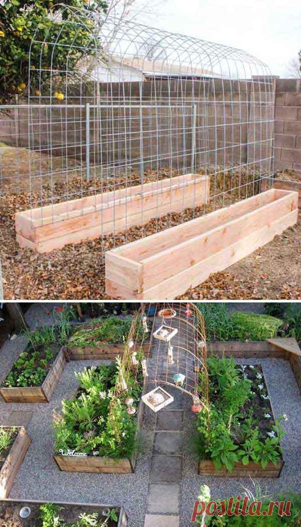 22 Ways for Growing a Successful Vegetable Garden