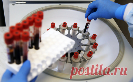 Песков назвал не вопросом Кремля тестирование иностранцев на инфекции. Оценка закона о тестировании иностранных специалистов на инфекционные заболевания, передающиеся половым путем, не является прерогативой Кремля, это вопрос миграционных властей.