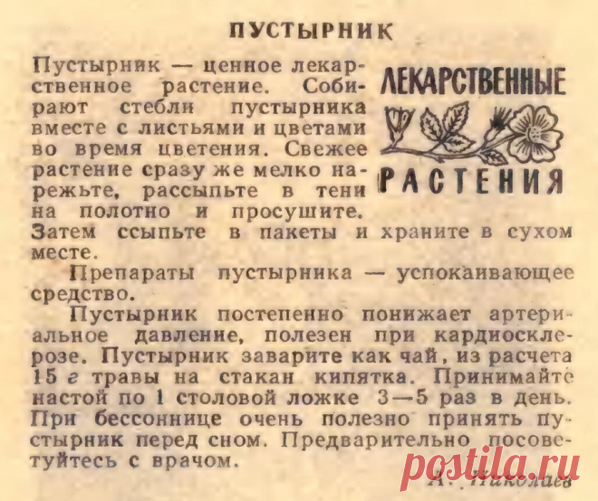 Пустырник
