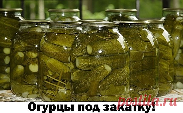 (3) Одноклассники