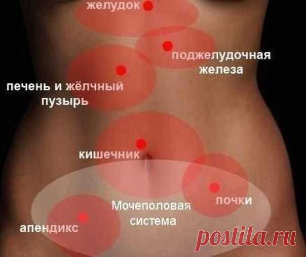 Чтоб знать, что не просто «живот болит» | Хитрости Жизни