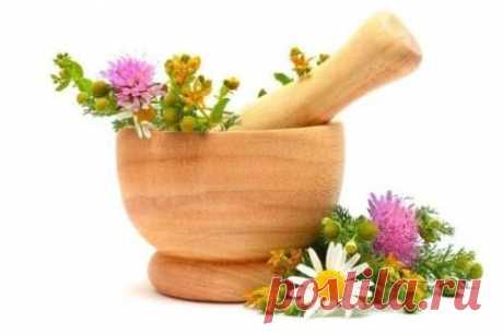 Как с помощью трав улучшить собственную жизнь