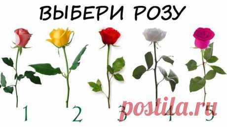 Какую розу вы выберите? Интересный психологический тест, который расскажет многое о Вас В интернете можно встретить огромное количество психологических тестов, которые могут рассказать о вас очень много. Большинство из них состоит из опросников некоторых учёных. Однако у таких тестов ест...