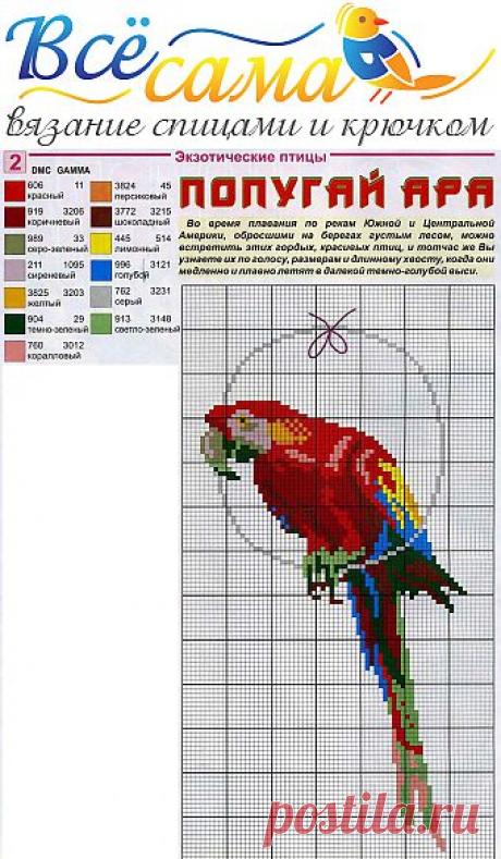 Попугай ара - Схема для вышивания крестиком - Схемы вышивки птиц
