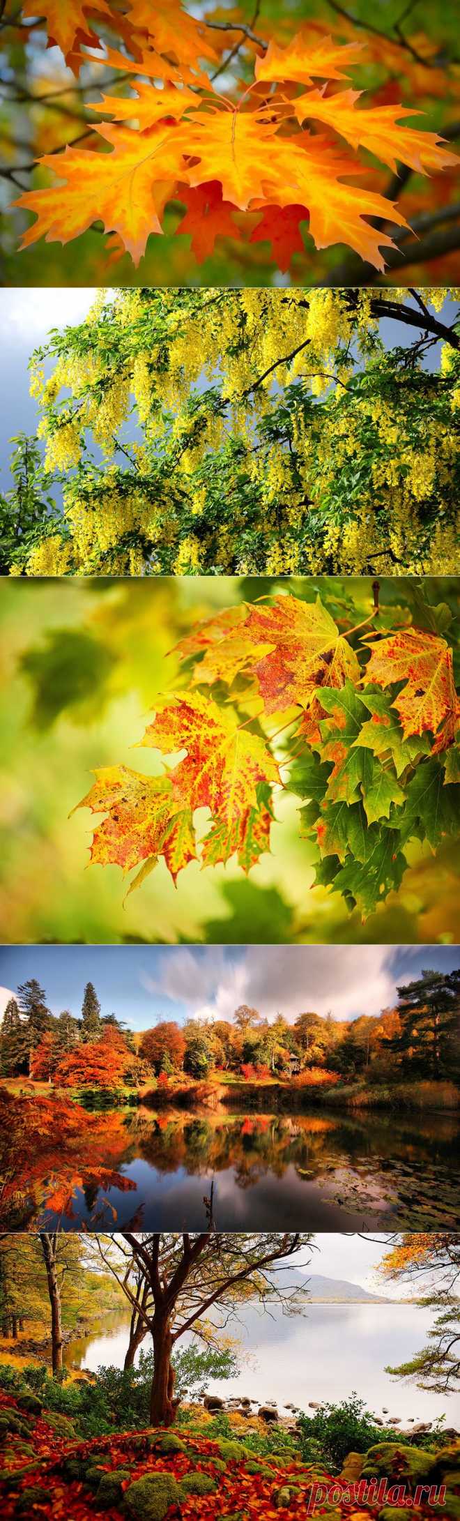 Красота — это вечность, длящаяся мгновение.