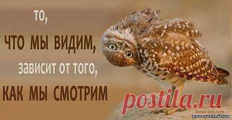 Что вы видите?.