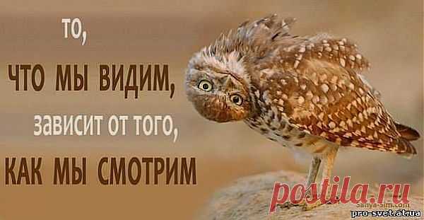 Что вы видите?.