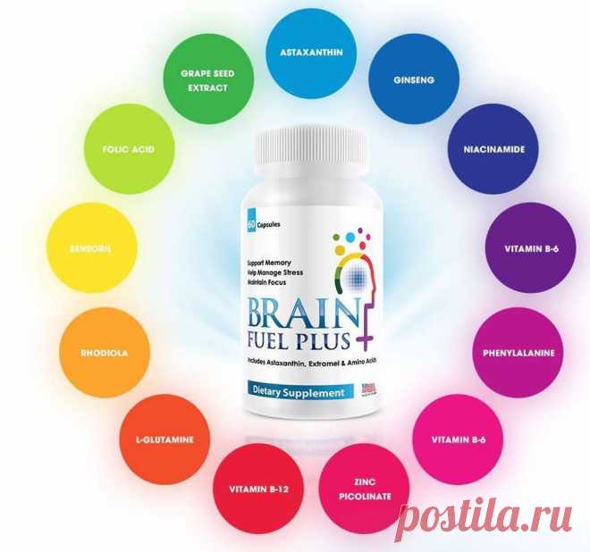 Brain Fuel Plus даст Вам:
отличную память
позитивное мышление
отличное настроение
жизнь без стрессов и тревог
жизнь без головной боли
сон как у младенца
поддержку когнитивных функций
и многое другое...