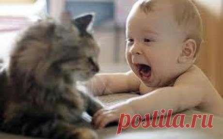 Эти забавные животные!
Владимир Фролов