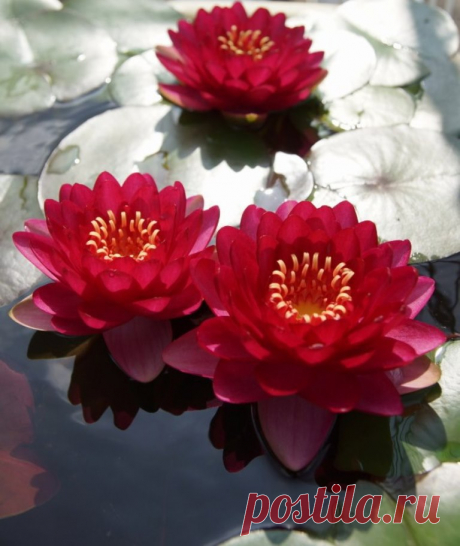 Редактировать описание