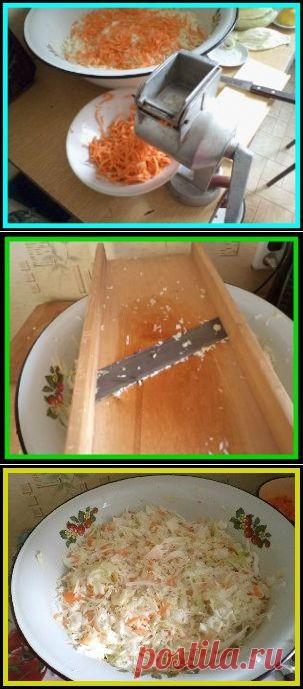 Соленая капуста на зиму | naschdomidacha.ru