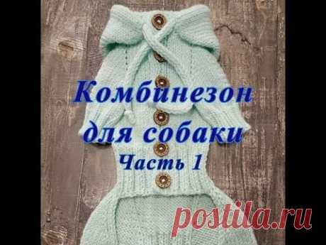Комбинезон для собаки спицами, часть 1, Dog clothes