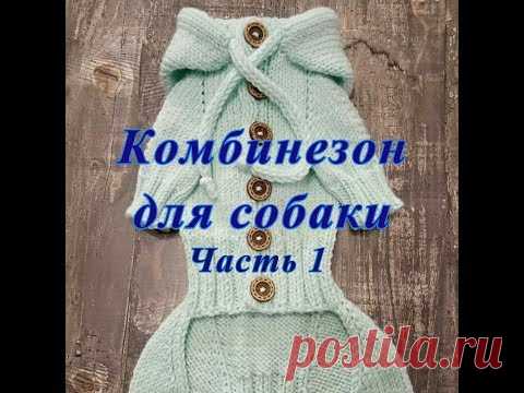 Комбинезон для собаки спицами, часть 1, Dog clothes