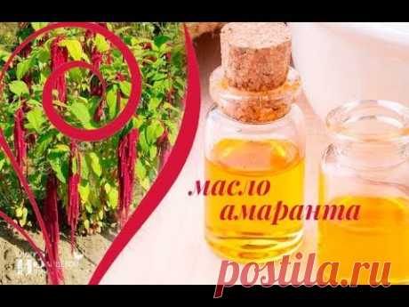 МАСЛО АМАРАНТА - натуральный ЦЕННЕЙШИЙ ПРОДУКТ для нашего здоровья!