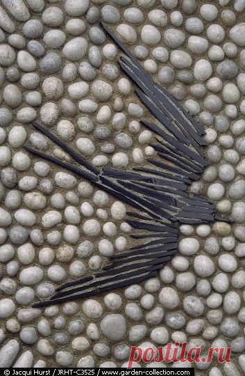 Пин от пользователя Kathy Lynch на доске garden pebble mosaics | Pint…