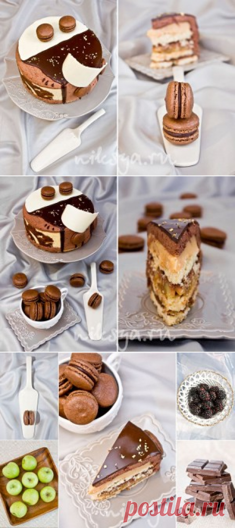 Шоколадно-муссовый торт | Самый вкусный портал Рунета
