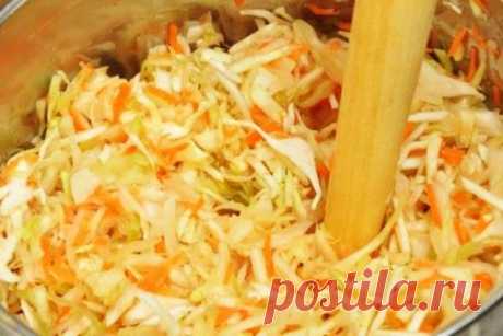 Квашеная капуста — классический рецепт времён СССР, секреты приготовления