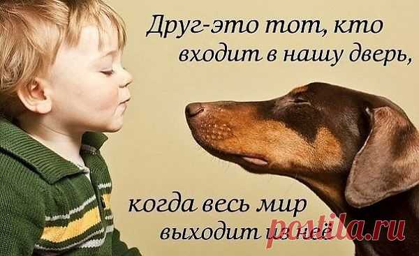 друг