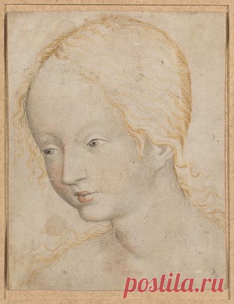 Anonymous, артистический, 15 - го века 
Голова женщины