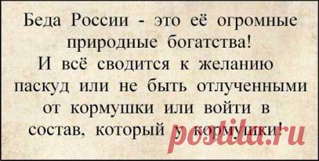 (2) Одноклассники