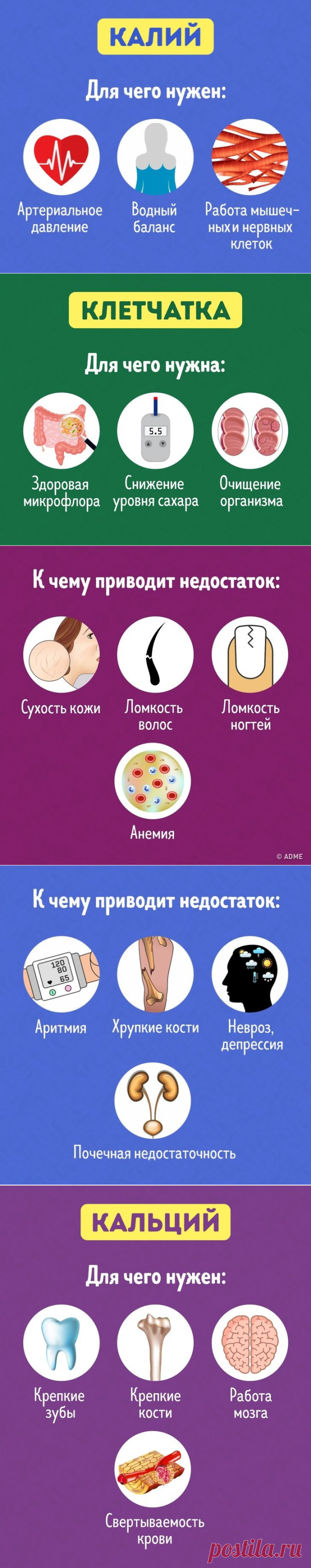 5 полезных веществ, которых чаще всего не хватает нашему организму, и откуда их получить