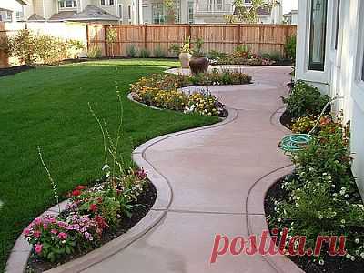 backyard | Gardening