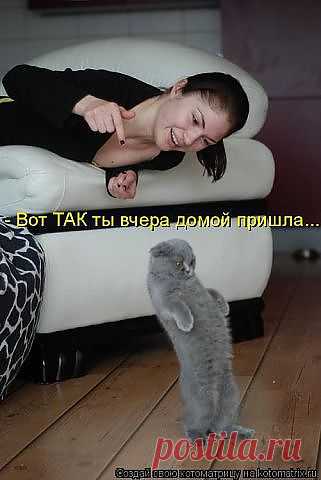 Доносчик......))))))))