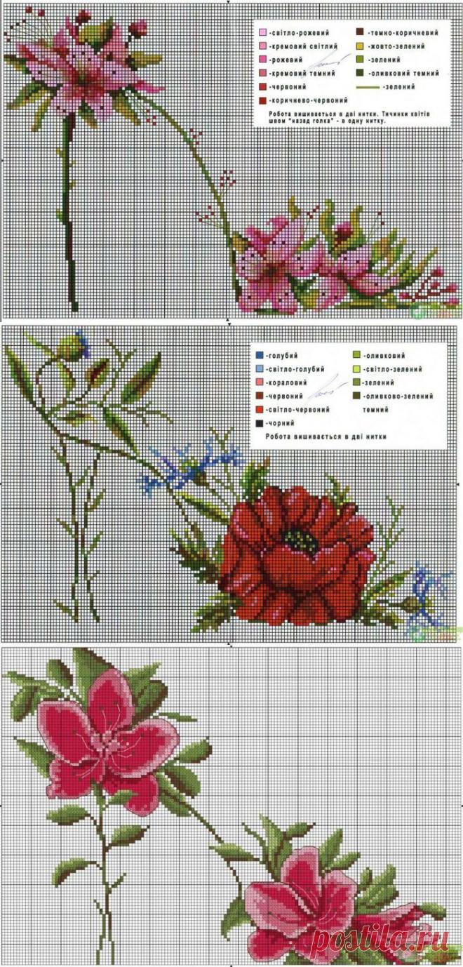 Без заголовка