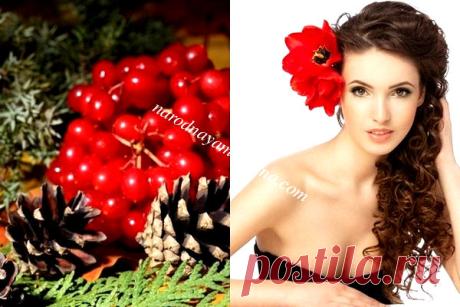Калина для лица. Маски из калины для лица. | Блог Алёны Кравченко