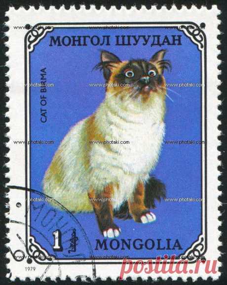 МОНГОЛ ШУУДАН