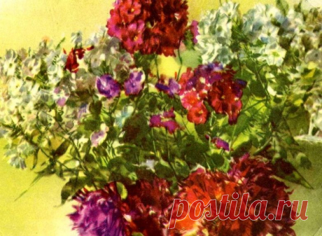Советские почтовые открытки 1940-1970 годов / Назад в СССР / Back in USSR