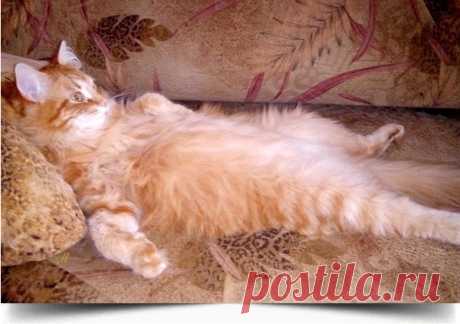 И ПУСТЬ ВЕСЬ МИР ПОДОЖДЁТ!!!...