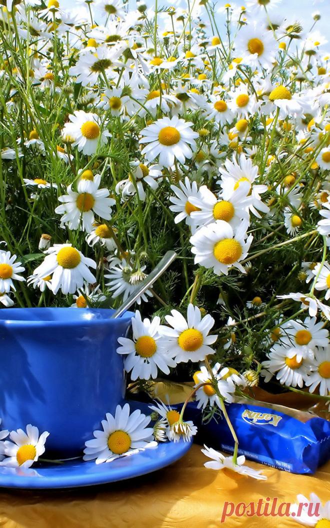 В одном часе любви – целая жизнь. Оноре де Бальзак