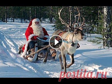 НОВОГОДНИЕ  КАРТИНКИ НОВОГОДНИЕ КАРТИНКИ...