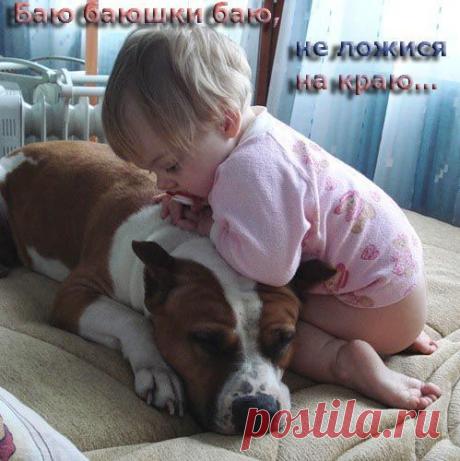 Собаки няни-фото