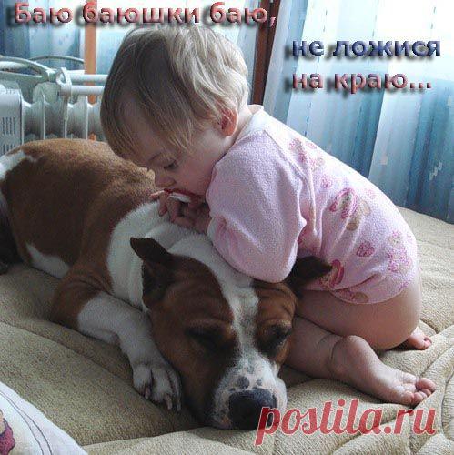 Собаки няни-фото