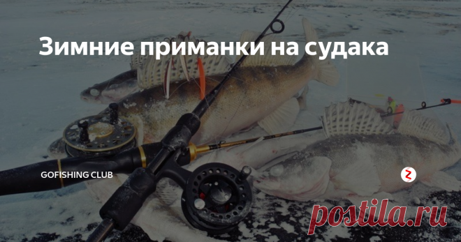 Зимние приманки на судака Зимние приманки на судака, отличаются своей формой и собственно всей тактикой и игрой при ловле хищника. Ловля происходит чаще всего в отвес, а приманки могут быть не только купленные в магазине и изготовленные производителями, но и часто применяются самодельные приманки, которые просты в своей конструкции и не бьют сильно по бюджету рыболова.
При поиске судака в зимний период, рыболов ориентирует