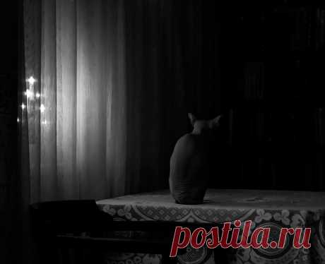 35PHOTO - Eleonora Grigorjeva - Первое января. Вечер...