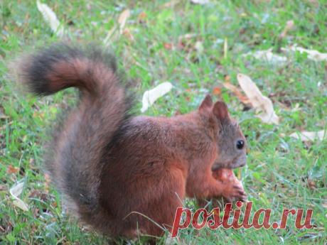 Мой Мир@Mail.Ru