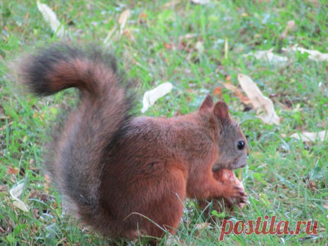 Мой Мир@Mail.Ru