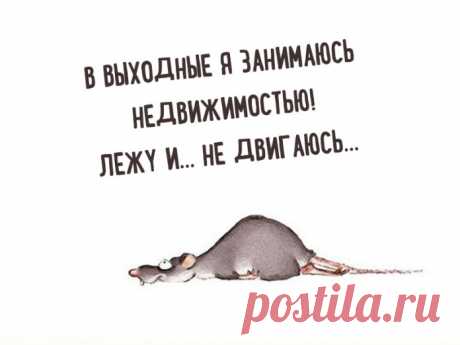 Юмористические, но очень правдивые открытки!