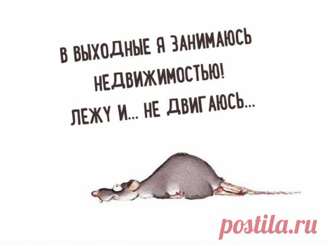 Юмористические, но очень правдивые открытки!