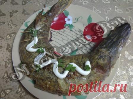 Рецепт фаршированной щуки