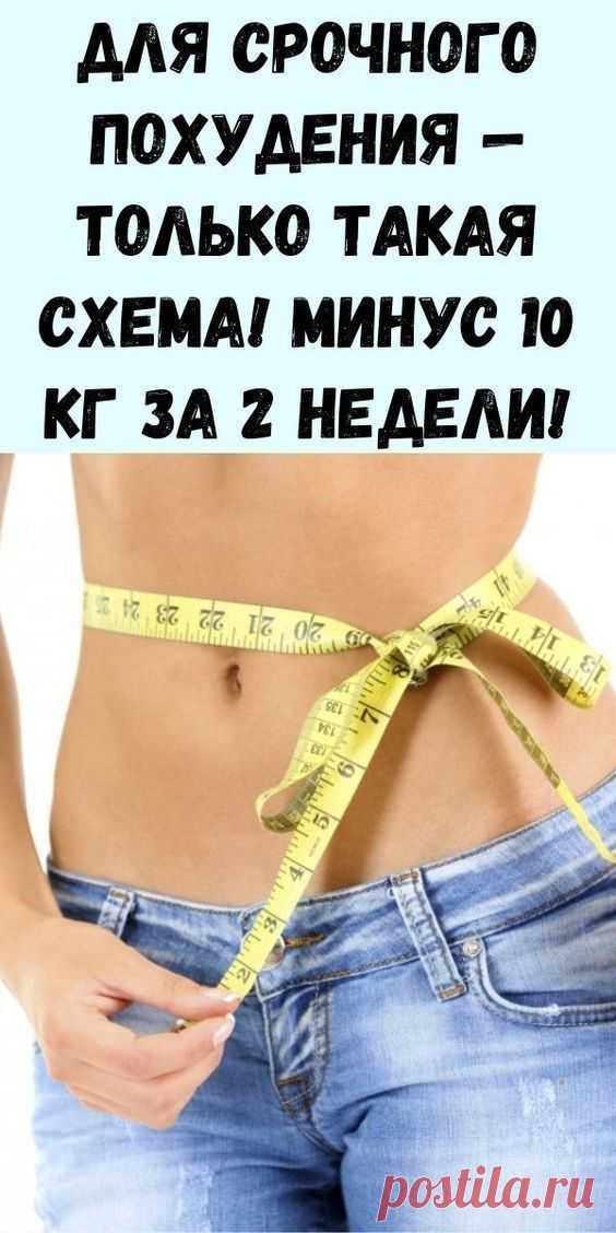 вышивки единорог крестом подушки лебеди пайетками пледа вышитые сумки вязаная косуха кукла лили куртка с описанием мебель для кукол сумочка на фермуаре вязаний микки маус вязания масок одним полотном пледов салфеток снежинок вязанные маленькие игрушки вязаное аранами белое из травки пальто капюшоном парео вязаный волк кос котик танк человек паук чехол планшета гелла чара геометрическая геометрические