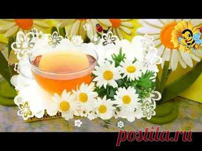 (50) Как сохранить и укрепить свое здоровье - Главная