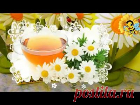 (50) Как сохранить и укрепить свое здоровье - Главная