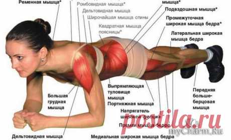 Всего одно упражнение для стройности: Группа Фитнес и диеты.