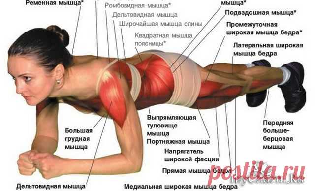 Всего одно упражнение для стройности: Группа Фитнес и диеты.